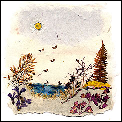 Pond Life by Christl Iausly wildflower landscape