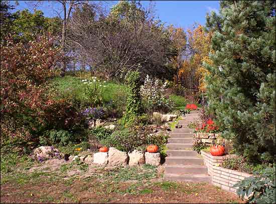 Wow Garden Wow